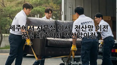 제주에서 사무실 이사? 🏢 전산망 이전 꿀팁! #제주이사 #전산망이전